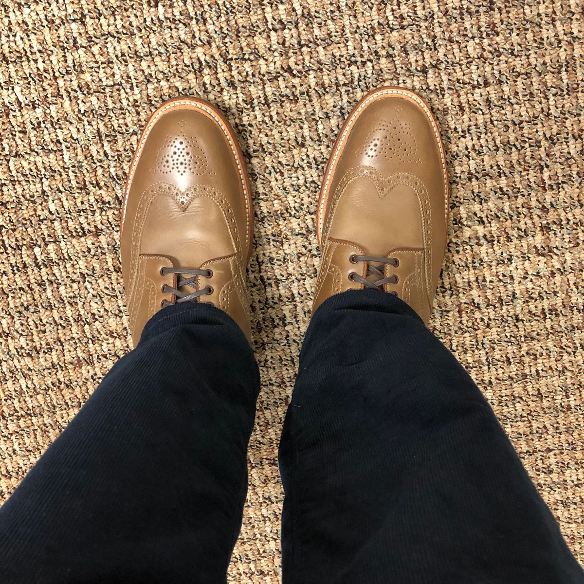 Photo by tymo718 on April 11, 2023 of the Alden Wingtip Boot in Horween Natural Chromexcel.