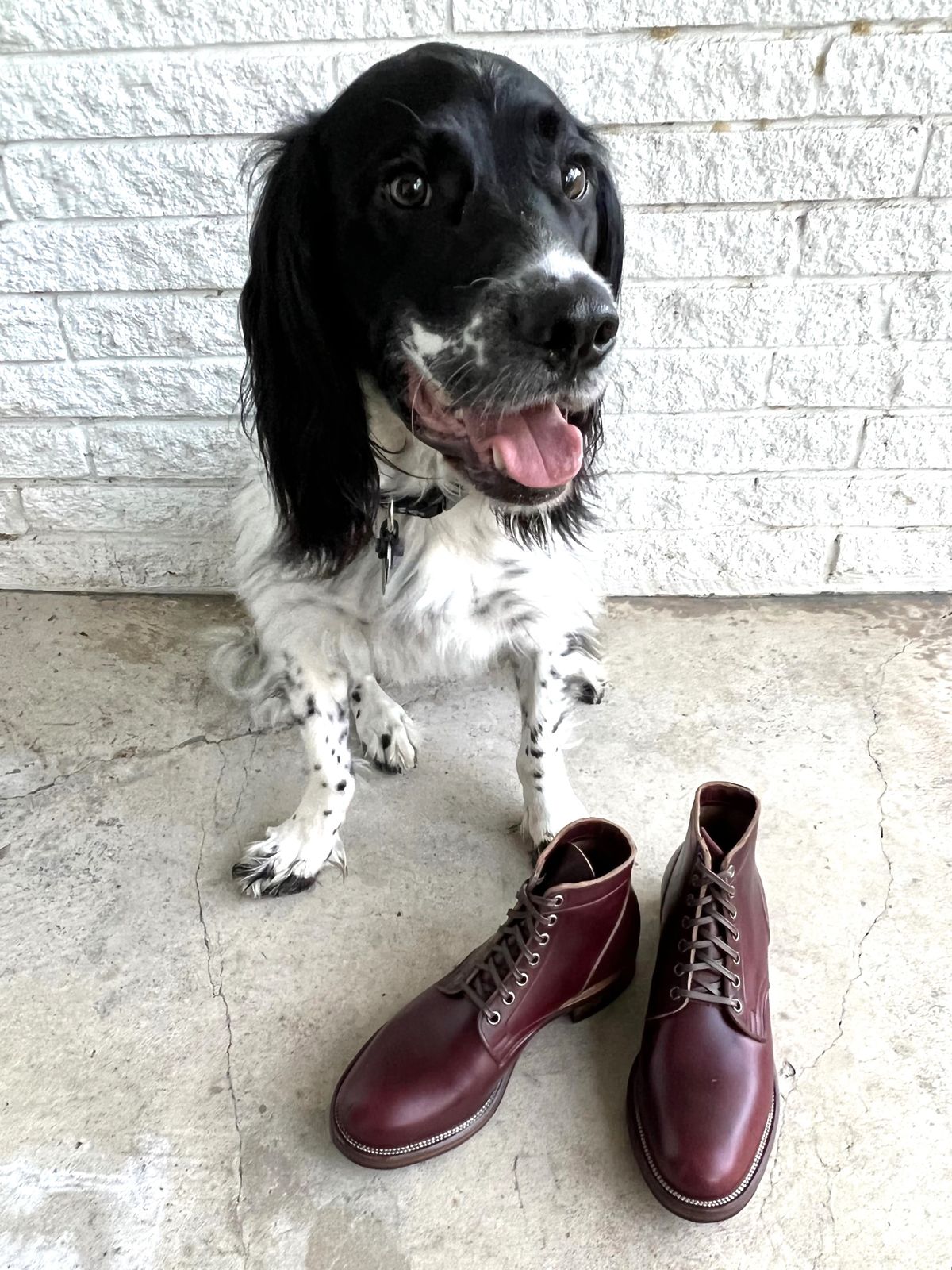 Photo by central209 on October 3, 2022 of the Viberg Service Boot in Horween Color 8 Chromexcel.