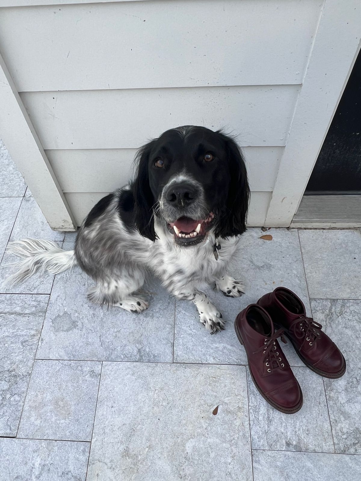 Photo by central209 on December 5, 2023 of the John Lofgren Combat Boots in Horween Burgundy Chromexcel.