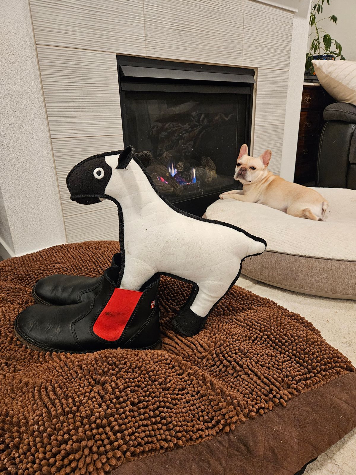 Photo by Mobius_Mustache on December 6, 2025 of the Duckfeet Roskilde in Terracare Black.