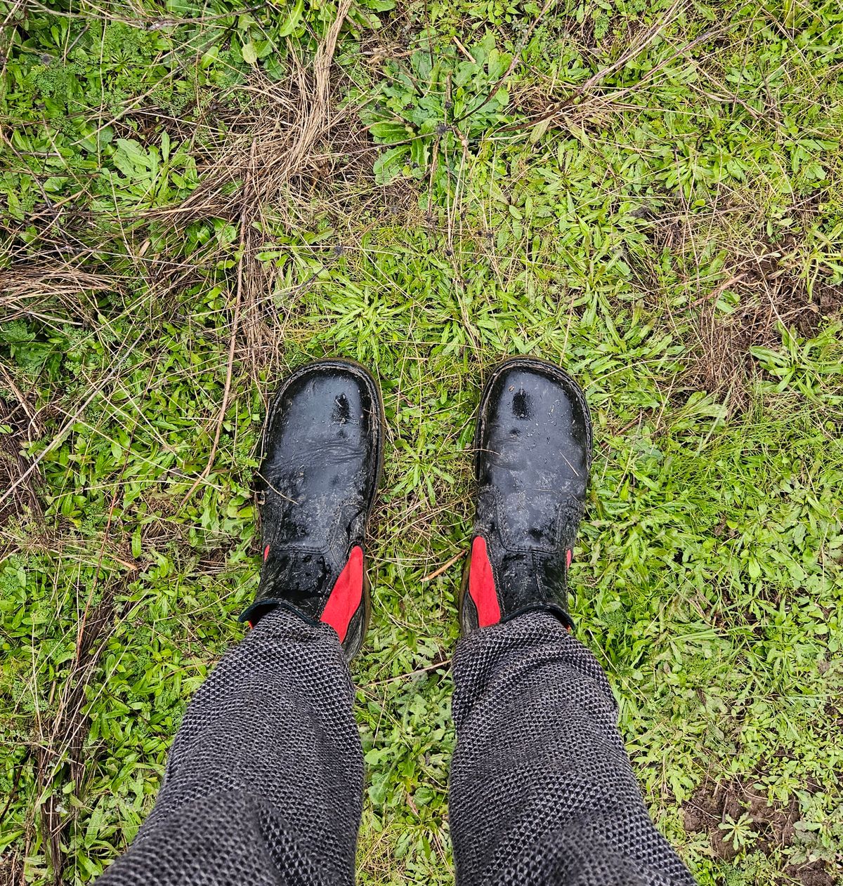 Photo by Mobius_Mustache on January 2, 2026 of the Duckfeet Roskilde in Terracare Black.