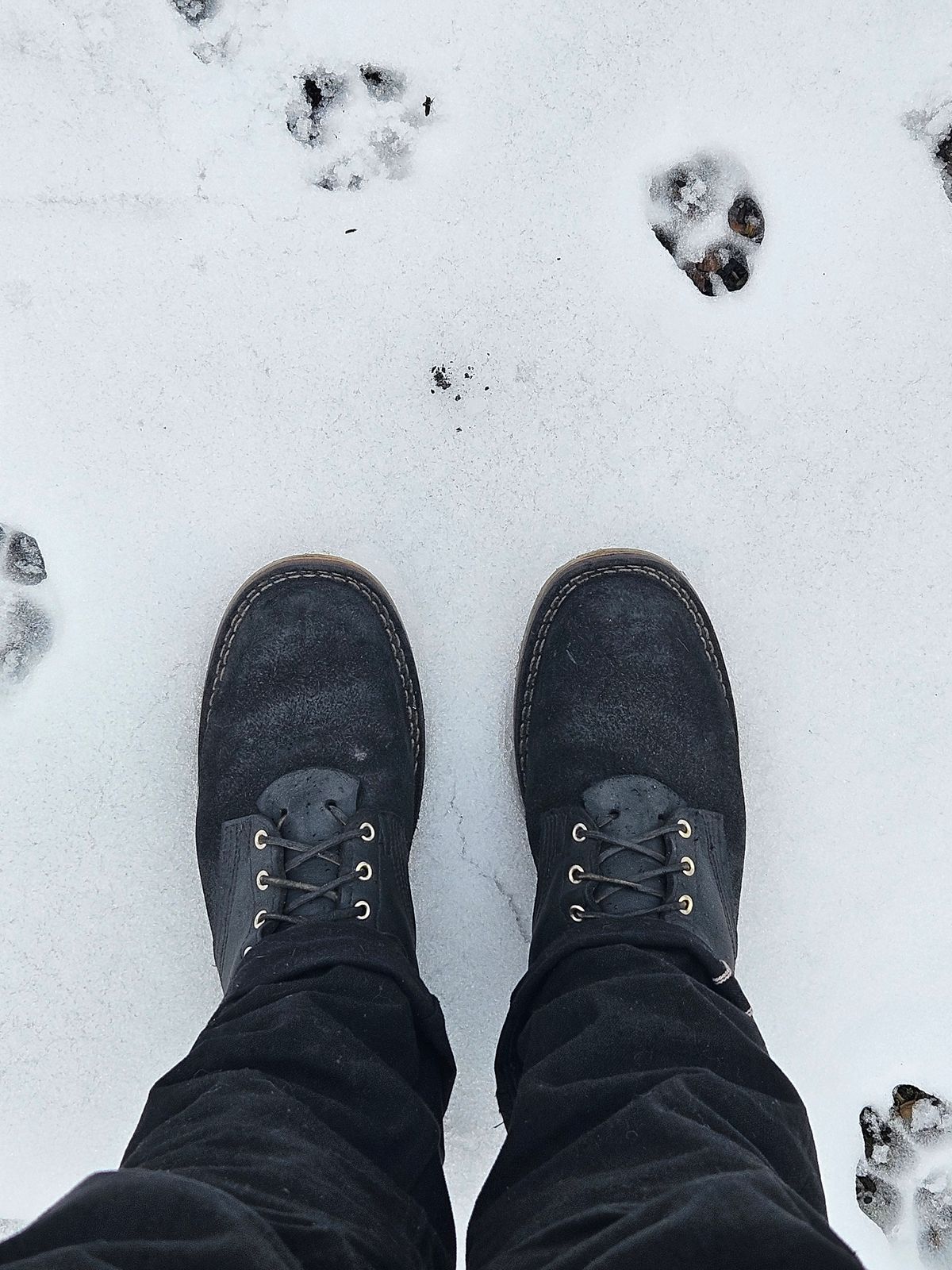 Photo by Mobius_Mustache on February 3, 2024 of the Nicks Traveler in Seidel MaxSupport Black Roughout.