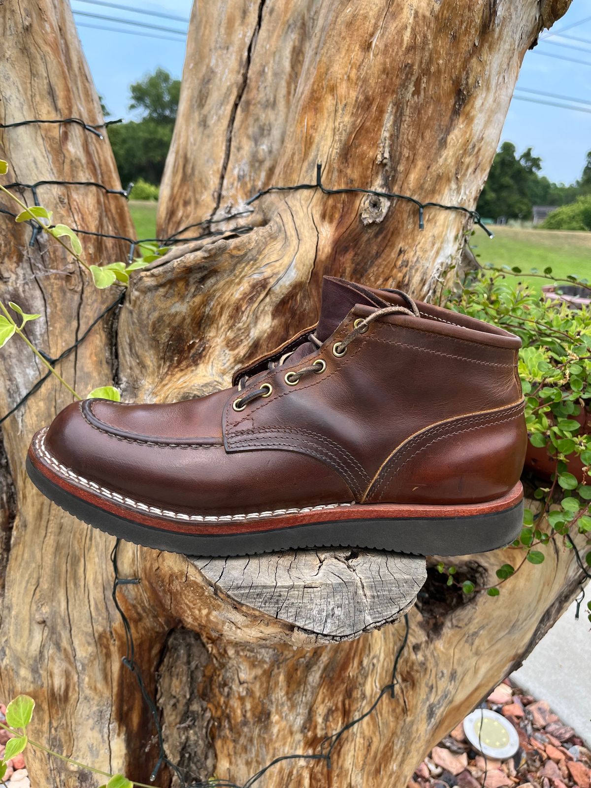 Photo by wedge64 on July 16, 2023 of the Nicks Aldert Strider Moc Toe in Horween Orange Predator.