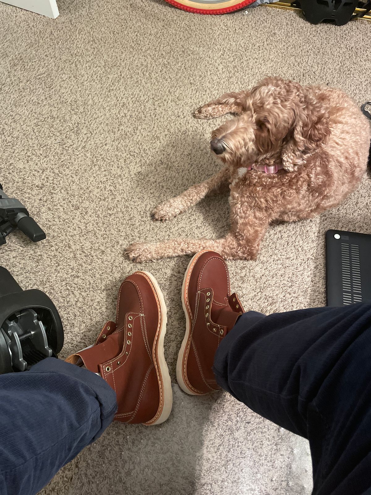 Photo by RoseAnvil_CT on October 26, 2022 of the White's Perry in Seidel Red Dog Oil Tan.