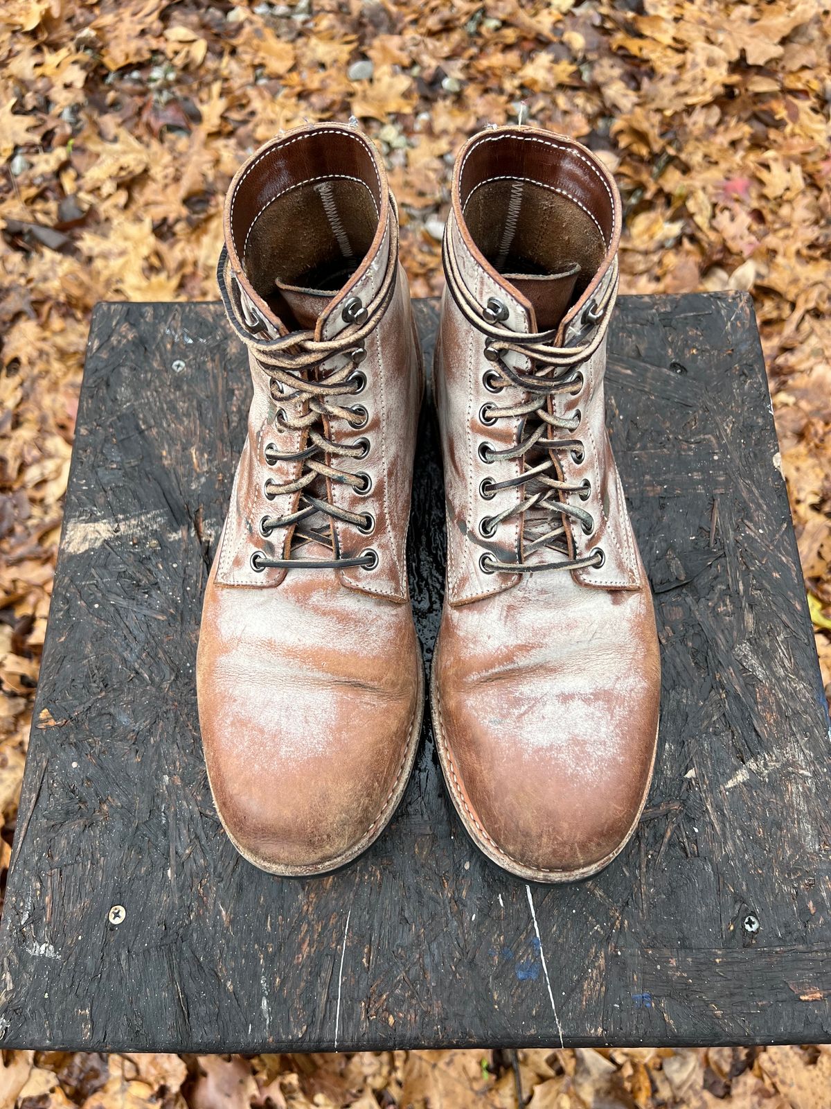 Photo by missouridenimdad on December 1, 2023 of the Oak Street Bootmakers Trench Boot in Volpi Whitewash Overdye Abetone.