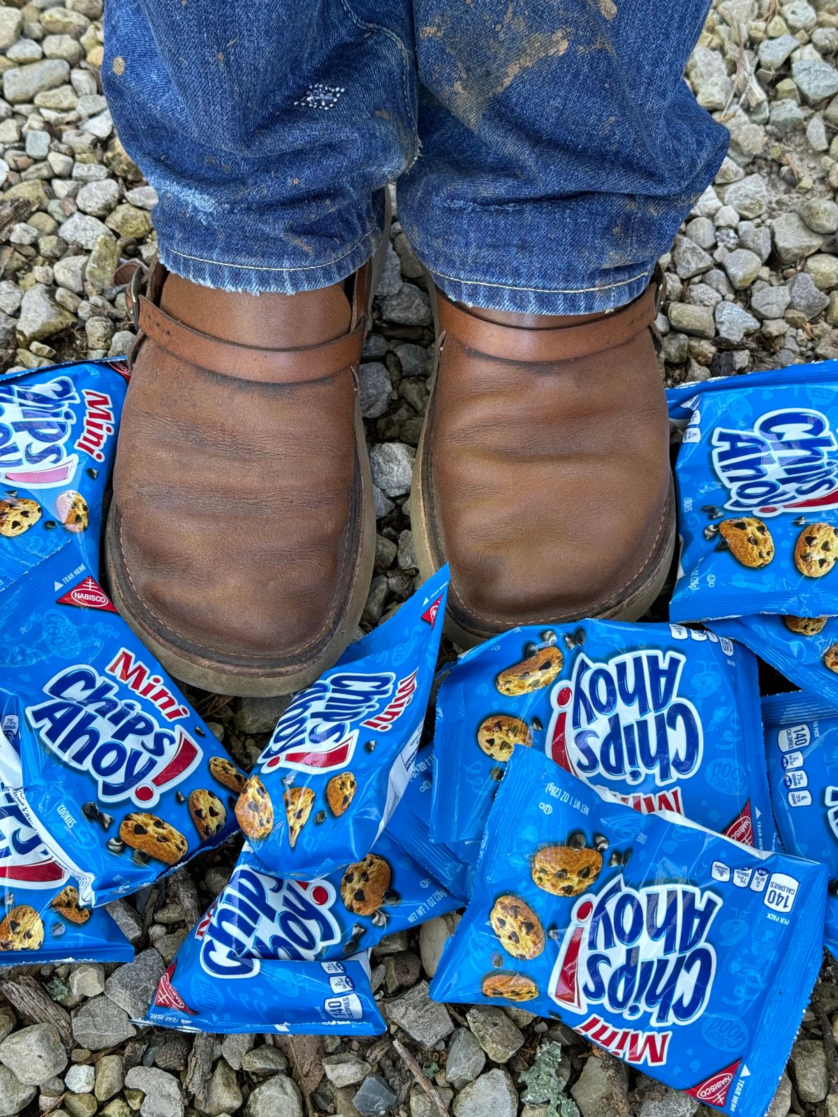 Photo by missouridenimdad on June 7, 2024 of the Oak Street Bootmakers Country Loafer in Horween Natural Chromexcel.