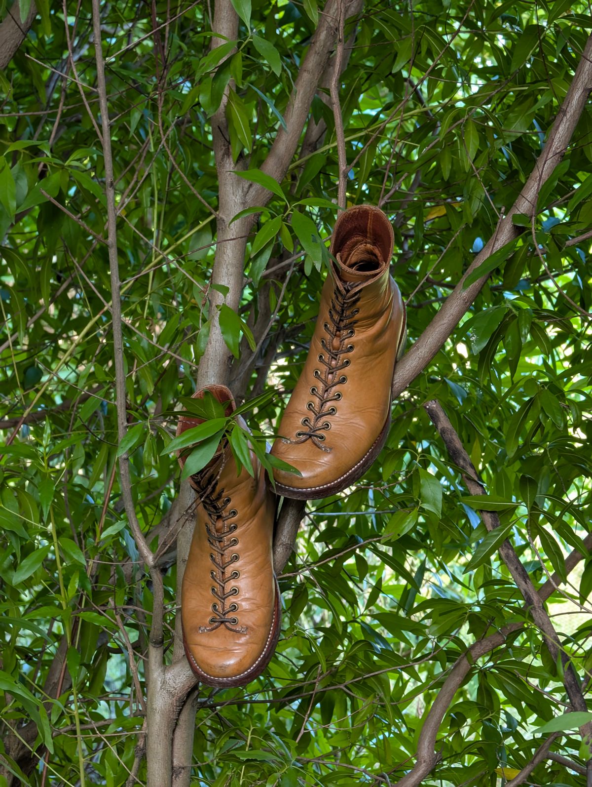 Photo by mjig76 on January 3, 2025 of the Willie's Handmade Boots Monkey Boot in Horween Moc Latigo.