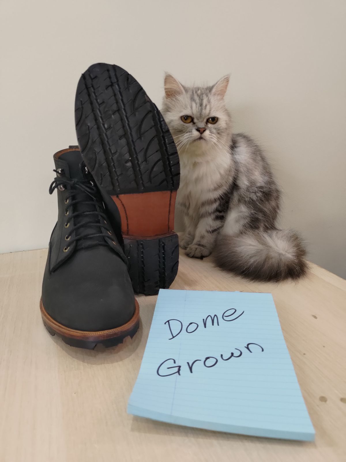 Photo by mjig76 on November 7, 2023 of the Black Wing Shoes Charcoal Crazy Horse in Charcoal Crazy Horse.