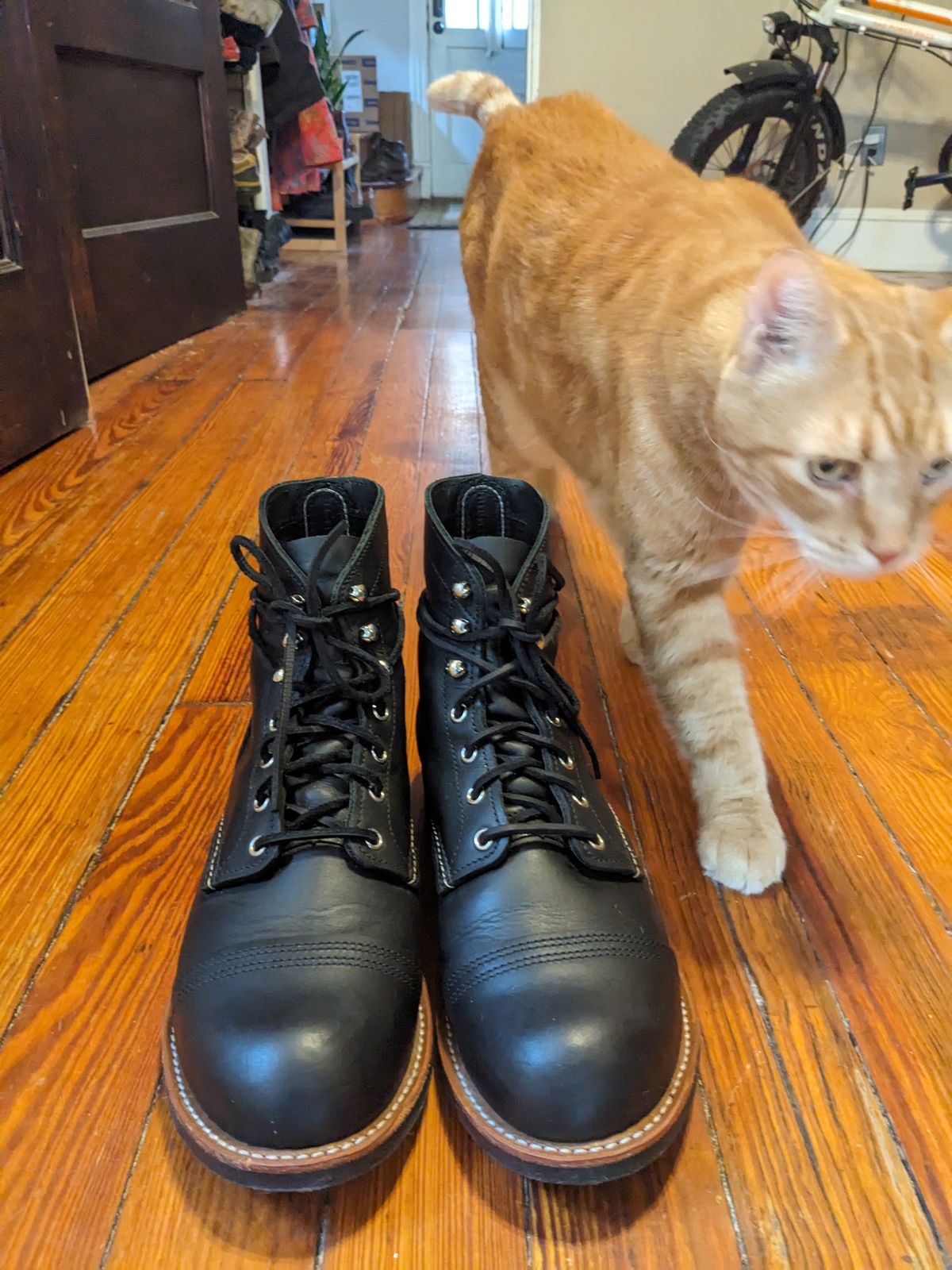 Photo by SachiSan on November 6, 2023 of the Red Wing Iron Ranger in S.B. Foot Black Harness.
