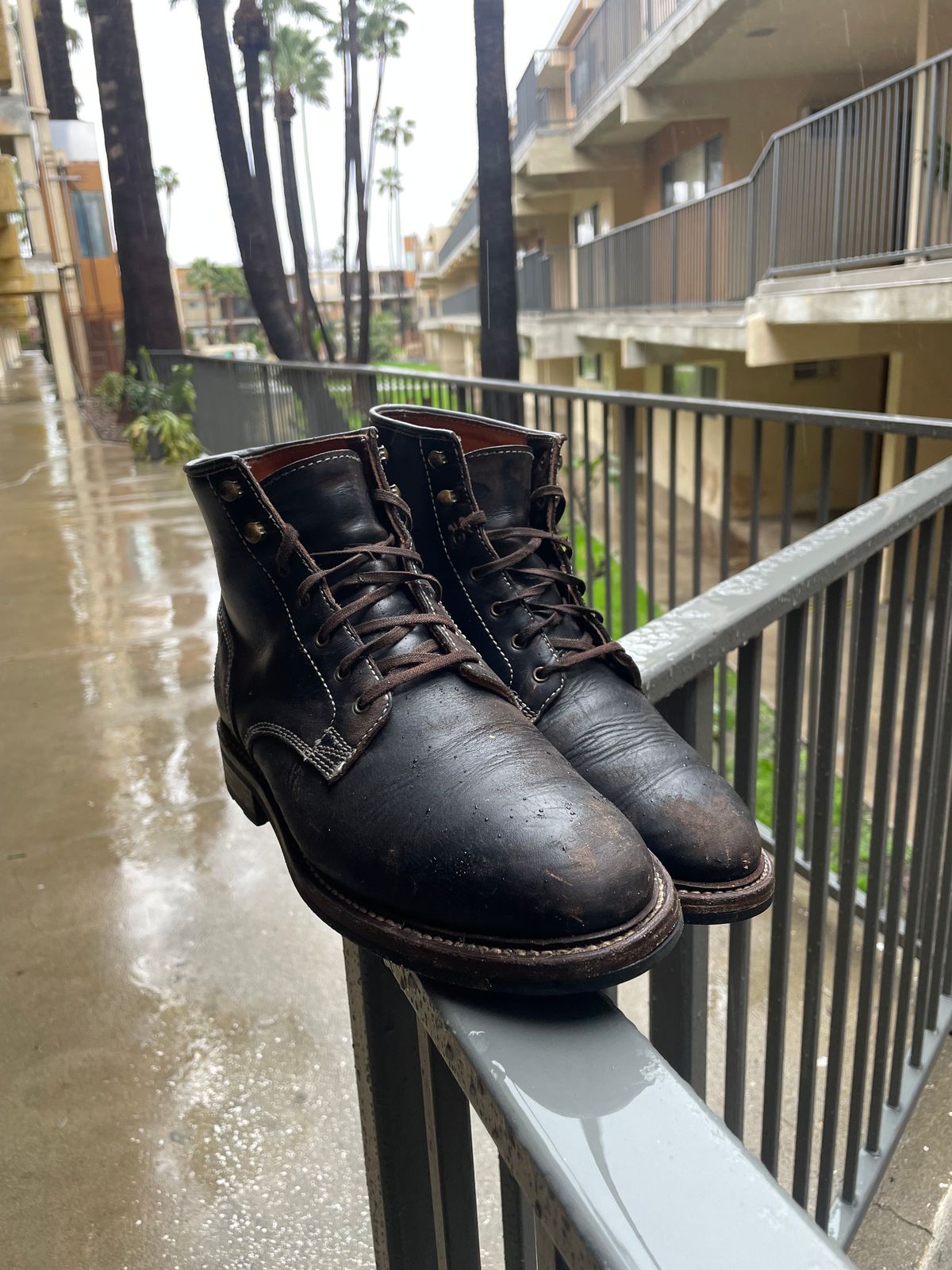 Photo by artlines04 on February 5, 2024 of the Caswell Boot Company Lisbon in Horween Black Chromexcel.