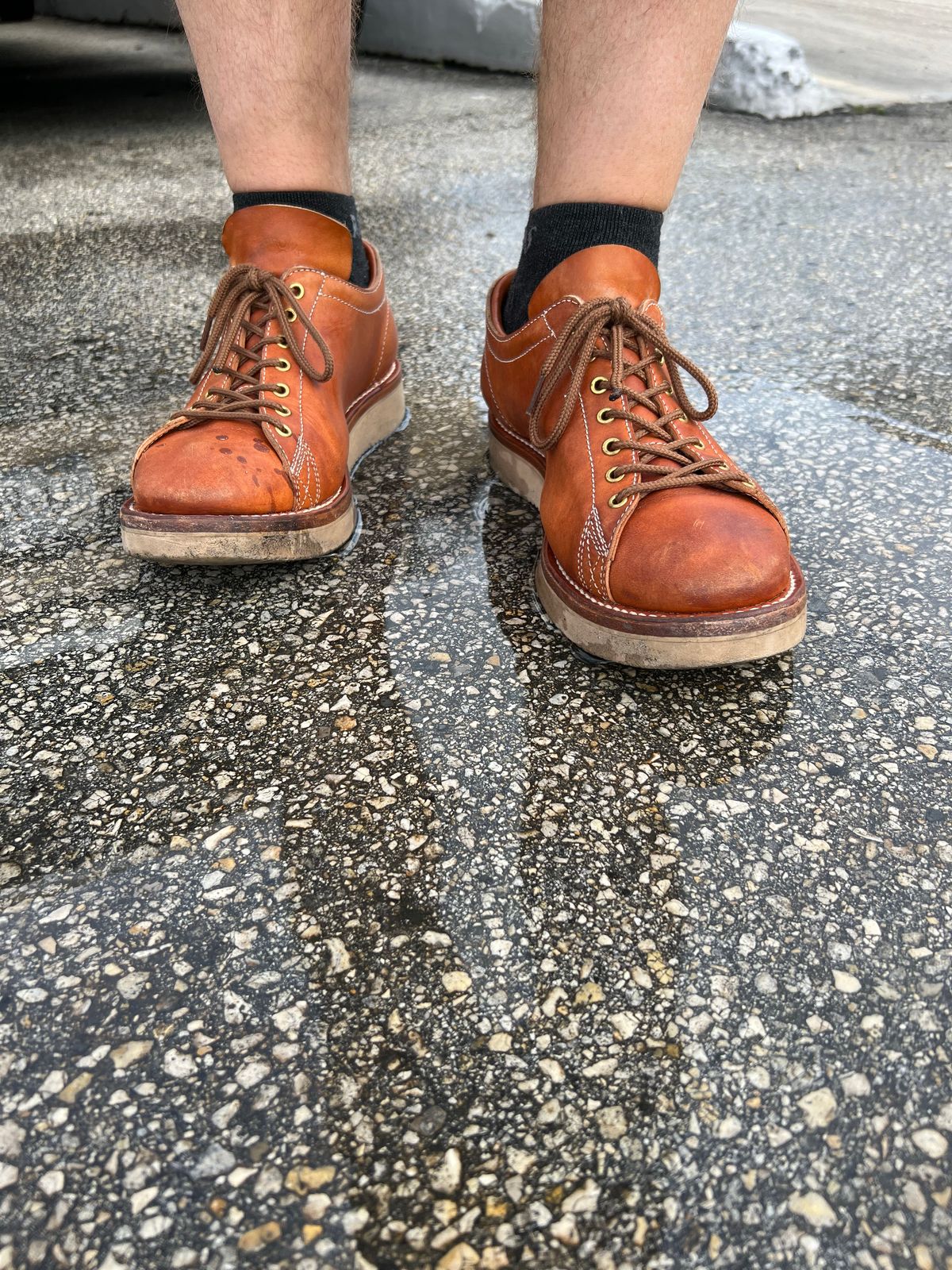 Photo by kenyhaves on December 2, 2022 of the Zerrows Boneakers Low in Light Brown Douglas.