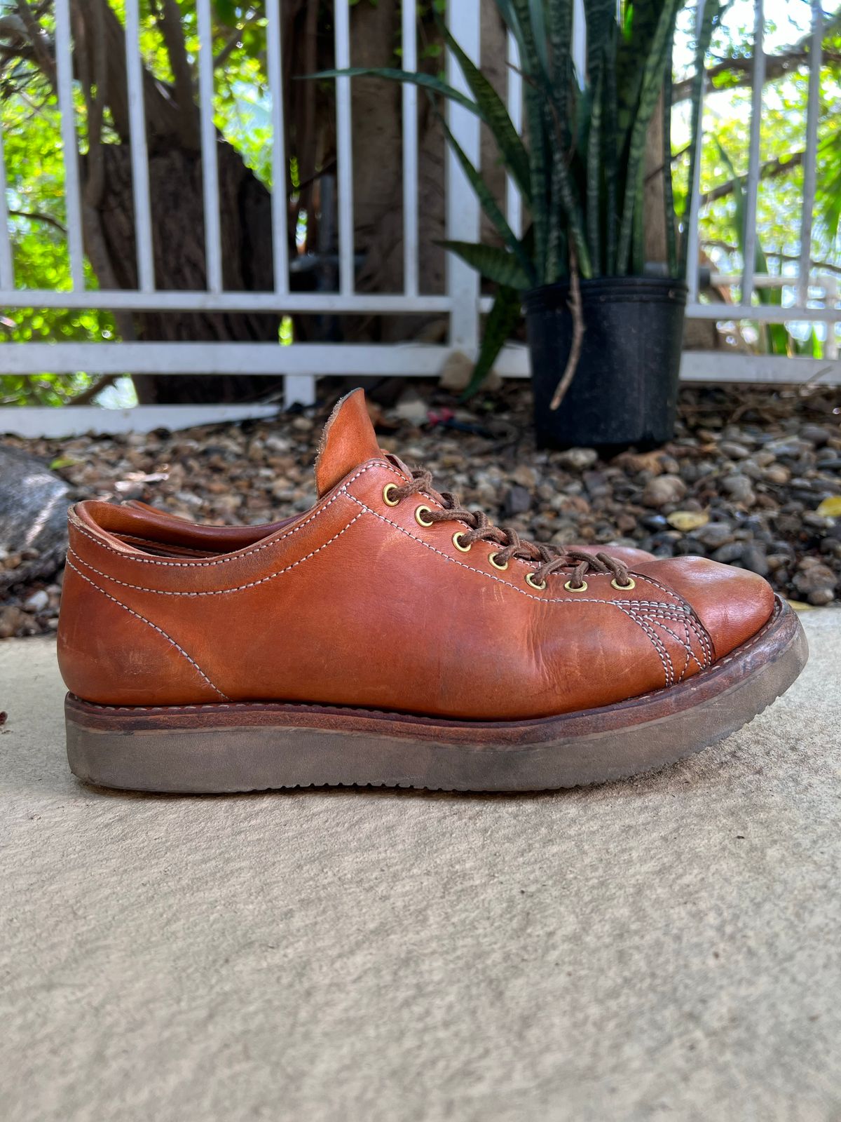 Photo by kenyhaves on December 2, 2022 of the Zerrows Boneakers Low in Light Brown Douglas.