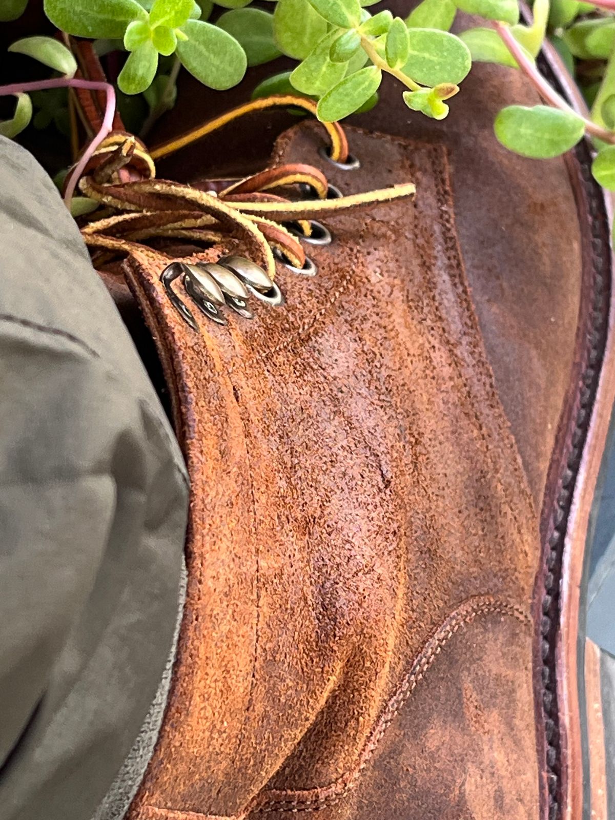 Photo by Alexanderp1 on November 5, 2023 of the Parkhurst The Allen in Rust Waxy.