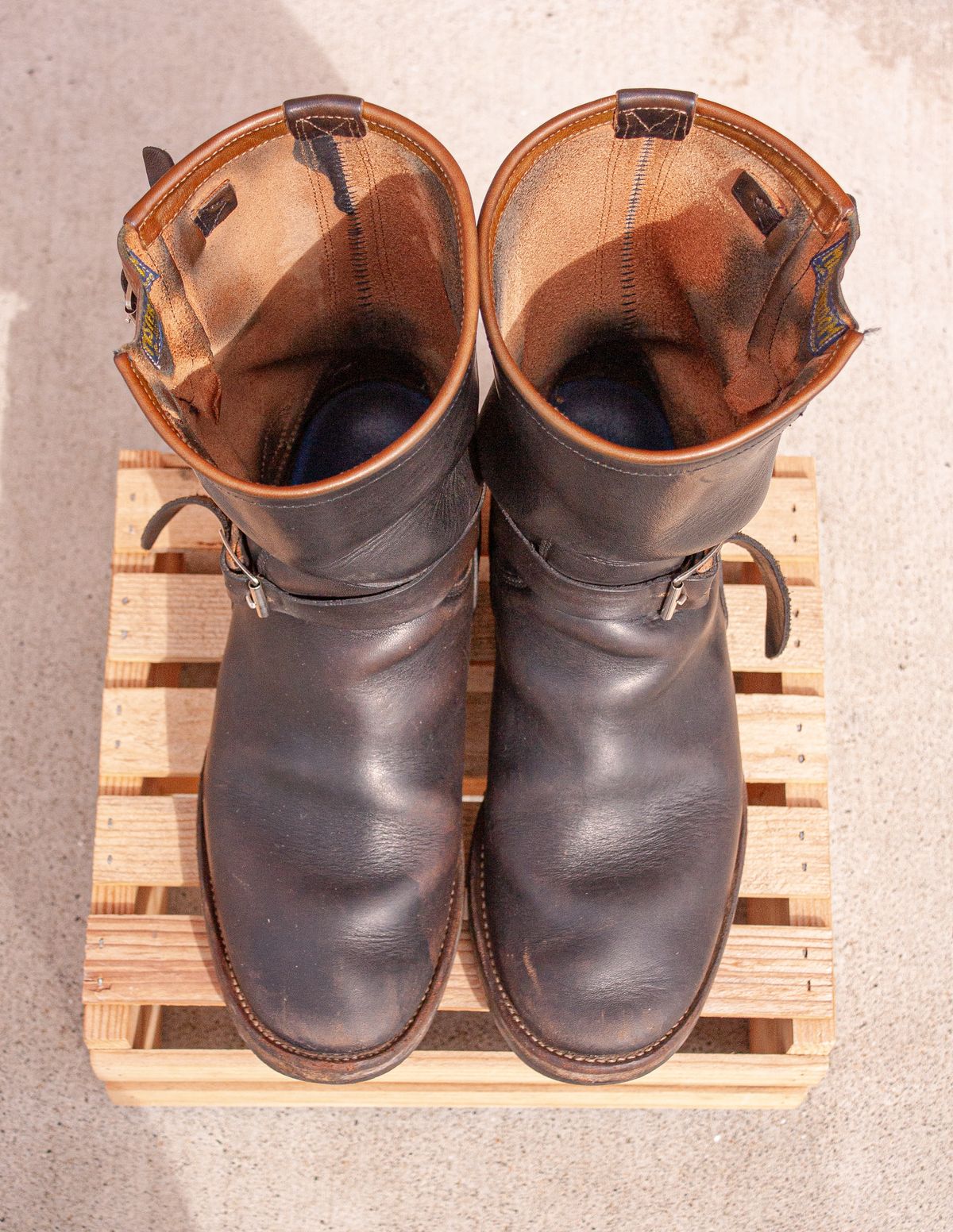 Photo by medusamachine on March 5, 2024 of the Mister Freedom Road Champ in Black Veg-Tanned Cowhide.