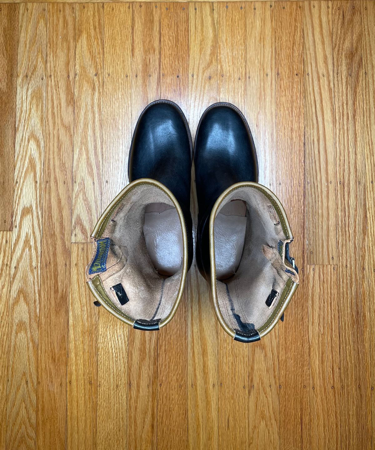 Photo by medusamachine on October 1, 2023 of the Mister Freedom Road Champ in Black Veg-Tanned Cowhide.