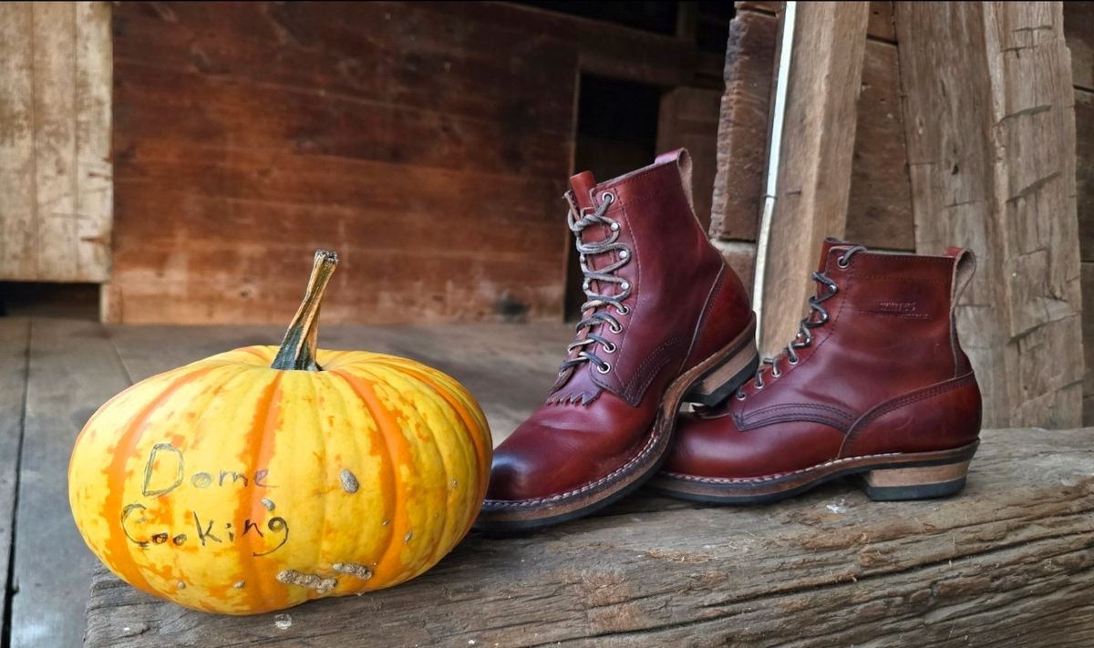 Photo by yorkpahomes on November 4, 2025 of the White's Bounty Hunter in Wickett & Craig Tan Oiled Latigo.