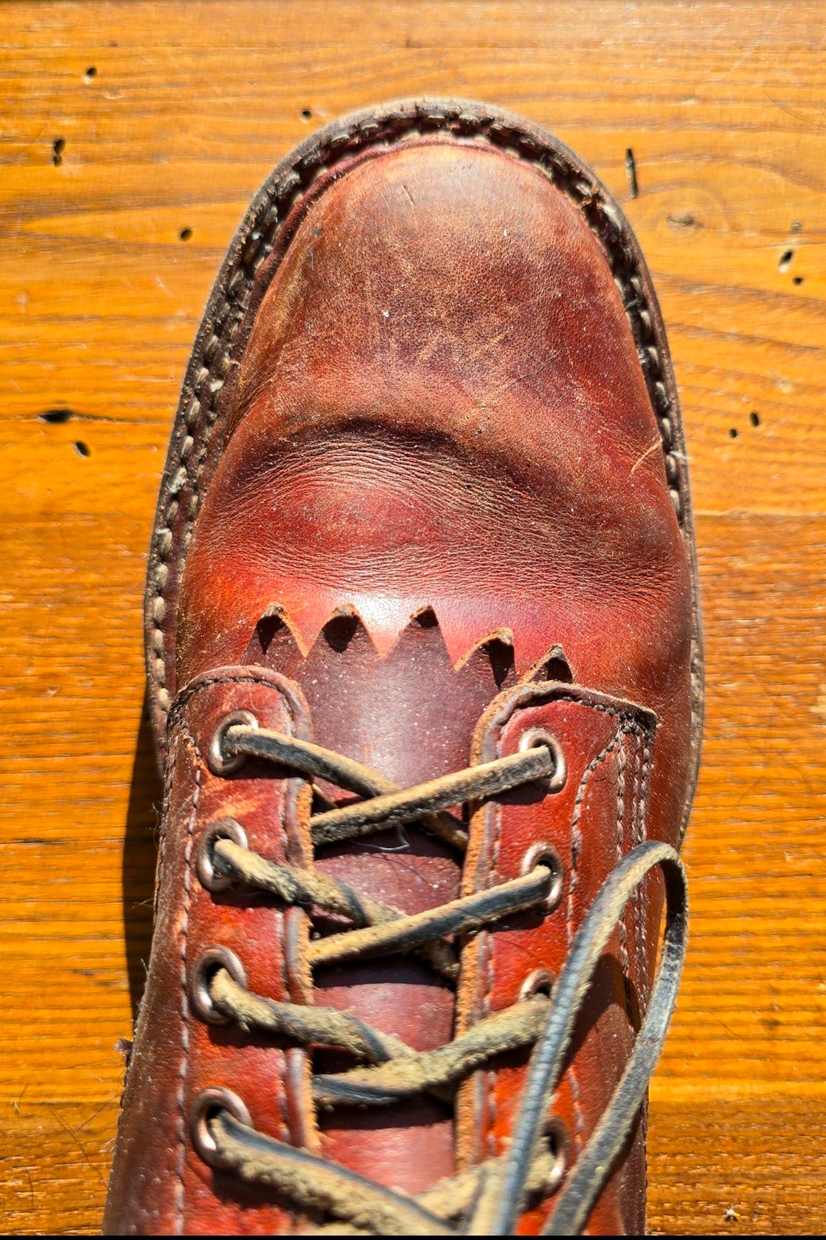 Photo by yorkpahomes on December 20, 2025 of the White's Bounty Hunter in Wickett & Craig Tan Oiled Latigo.