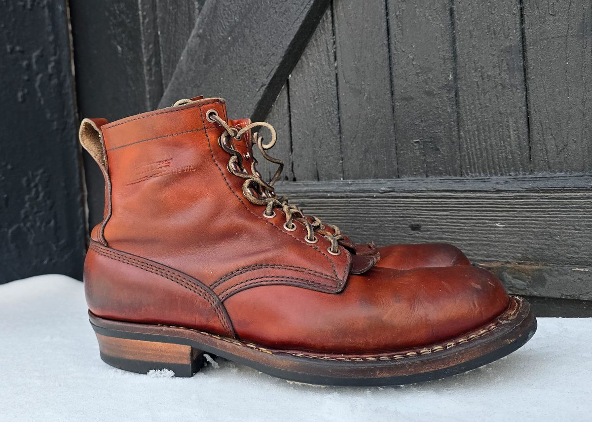 Photo by yorkpahomes on February 3, 2026 of the White's Bounty Hunter in Wickett & Craig Tan Oiled Latigo.