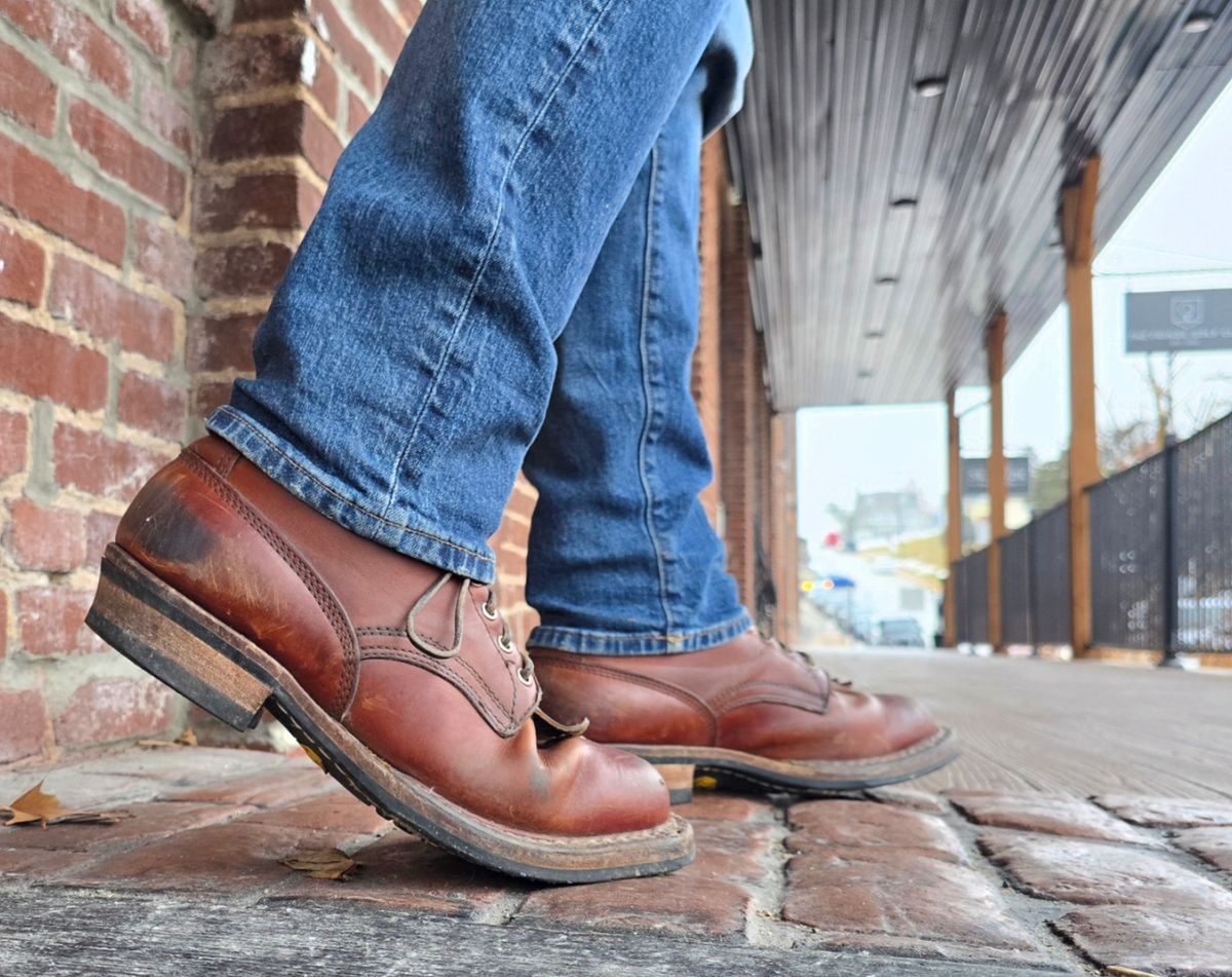 Photo by yorkpahomes on February 20, 2026 of the White's Bounty Hunter in Wickett & Craig Tan Oiled Latigo.