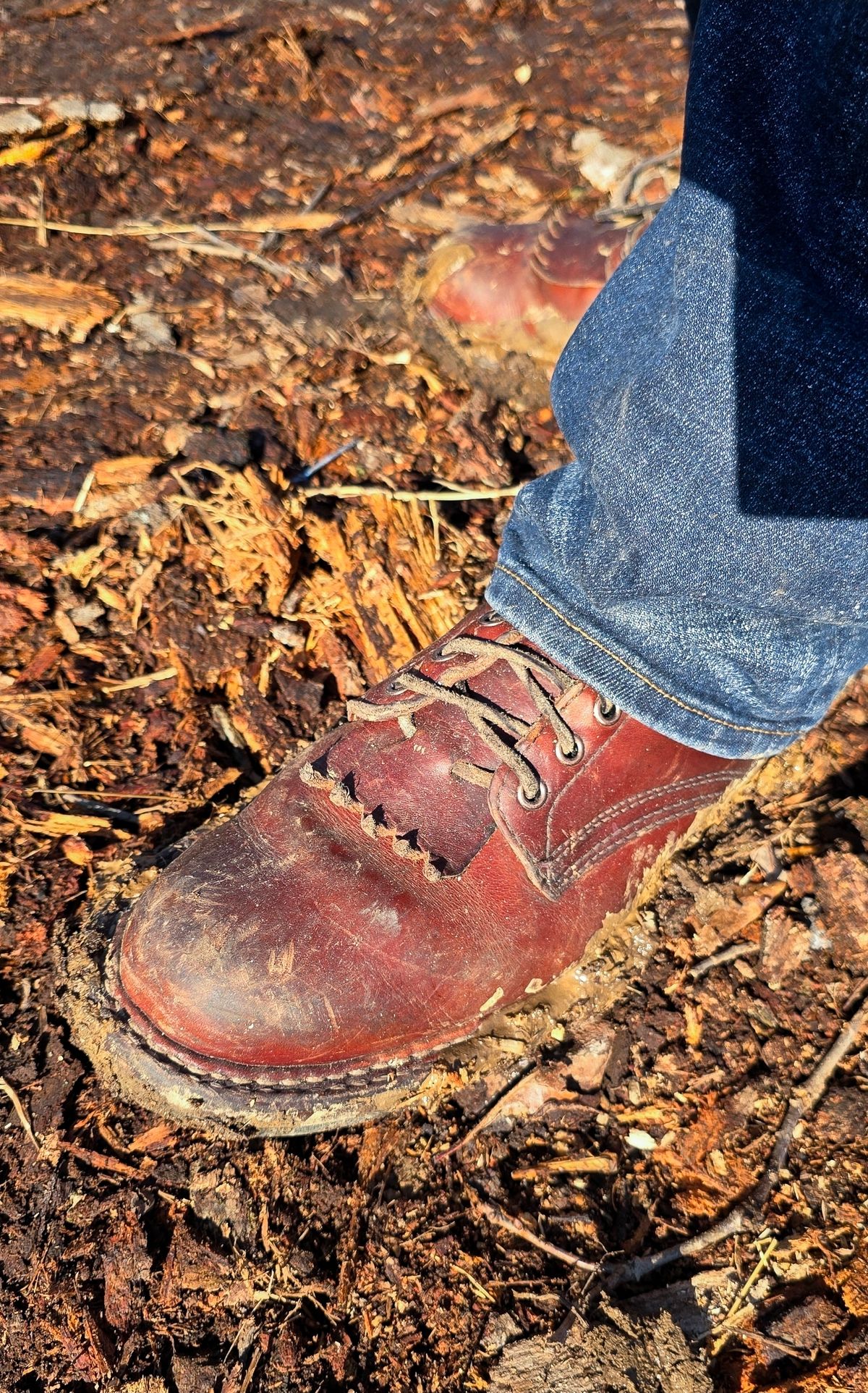 Photo by yorkpahomes on February 28, 2026 of the White's Bounty Hunter in Wickett & Craig Tan Oiled Latigo.