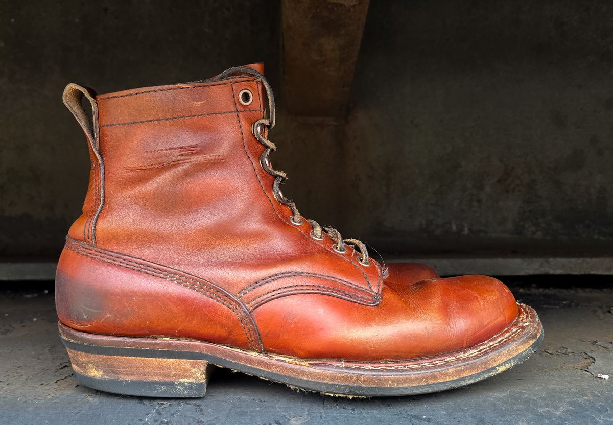 Photo by yorkpahomes on March 2, 2026 of the White's Bounty Hunter in Wickett & Craig Tan Oiled Latigo.