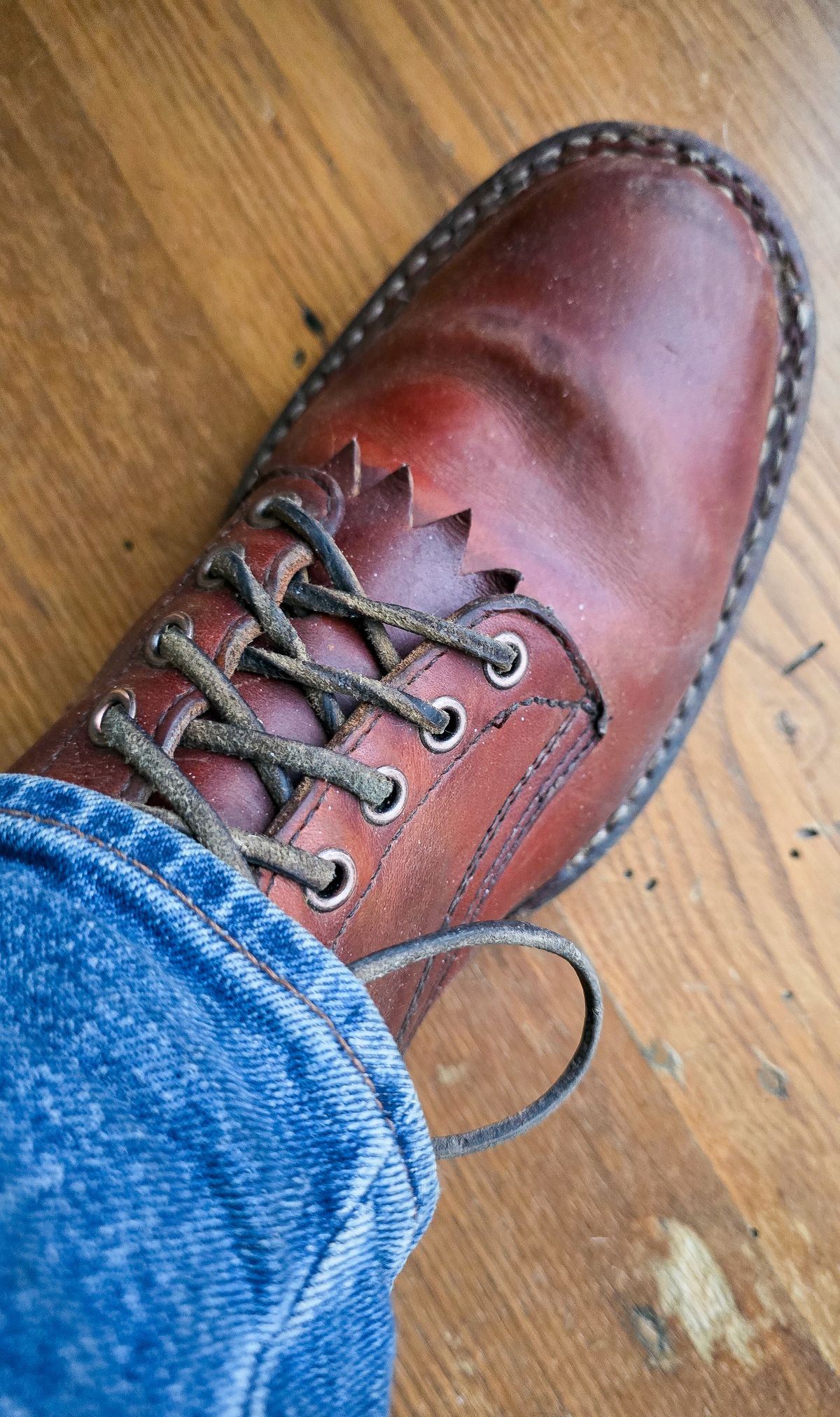 Photo by yorkpahomes on March 4, 2026 of the White's Bounty Hunter in Wickett & Craig Tan Oiled Latigo.