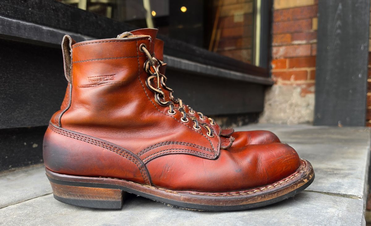 Photo by yorkpahomes on April 3, 2026 of the White's Bounty Hunter in Wickett & Craig Tan Oiled Latigo.