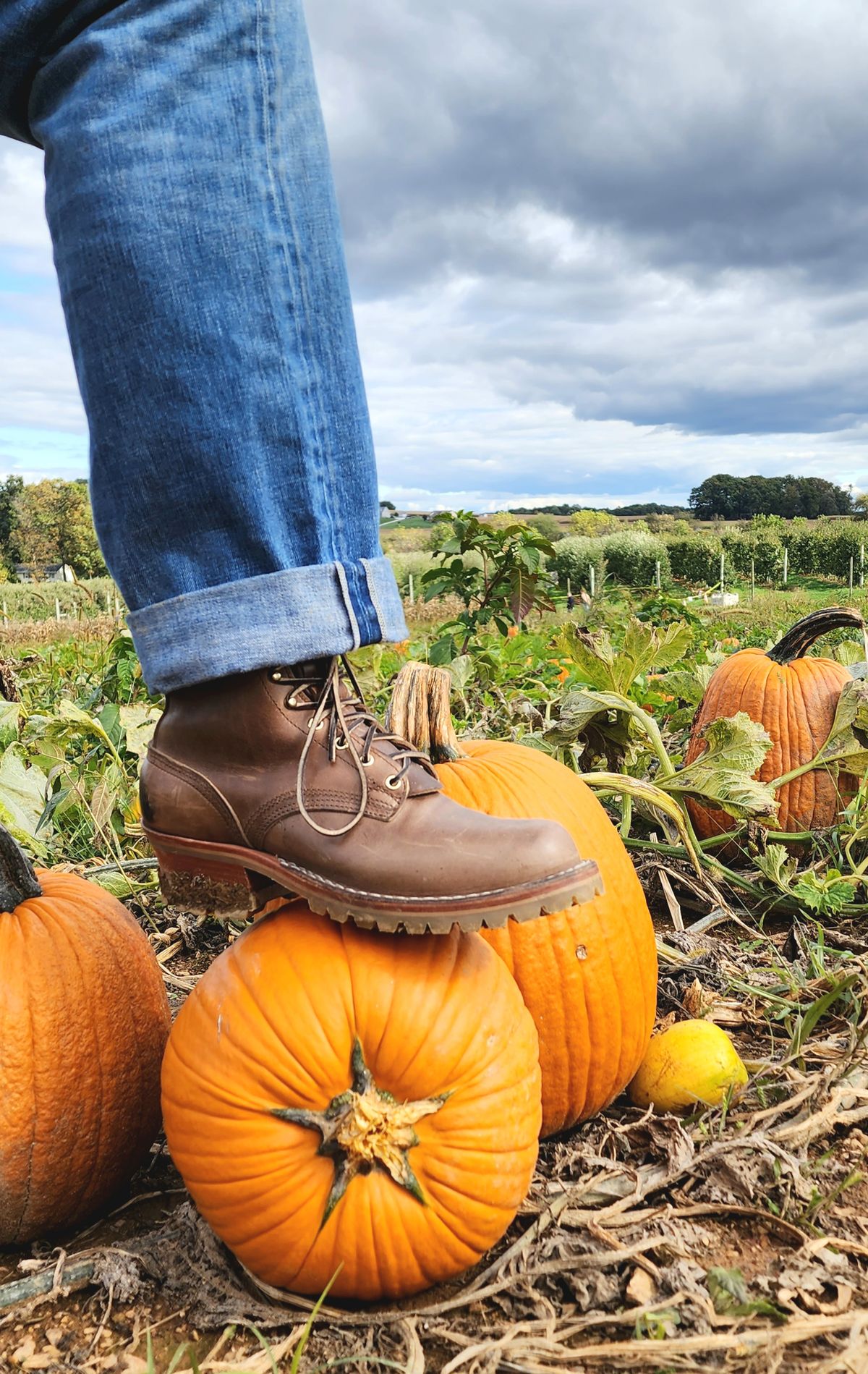 Photo by yorkpahomes on October 15, 2023 of the Nicks Urban Logger in Horween Natural Chromexcel.