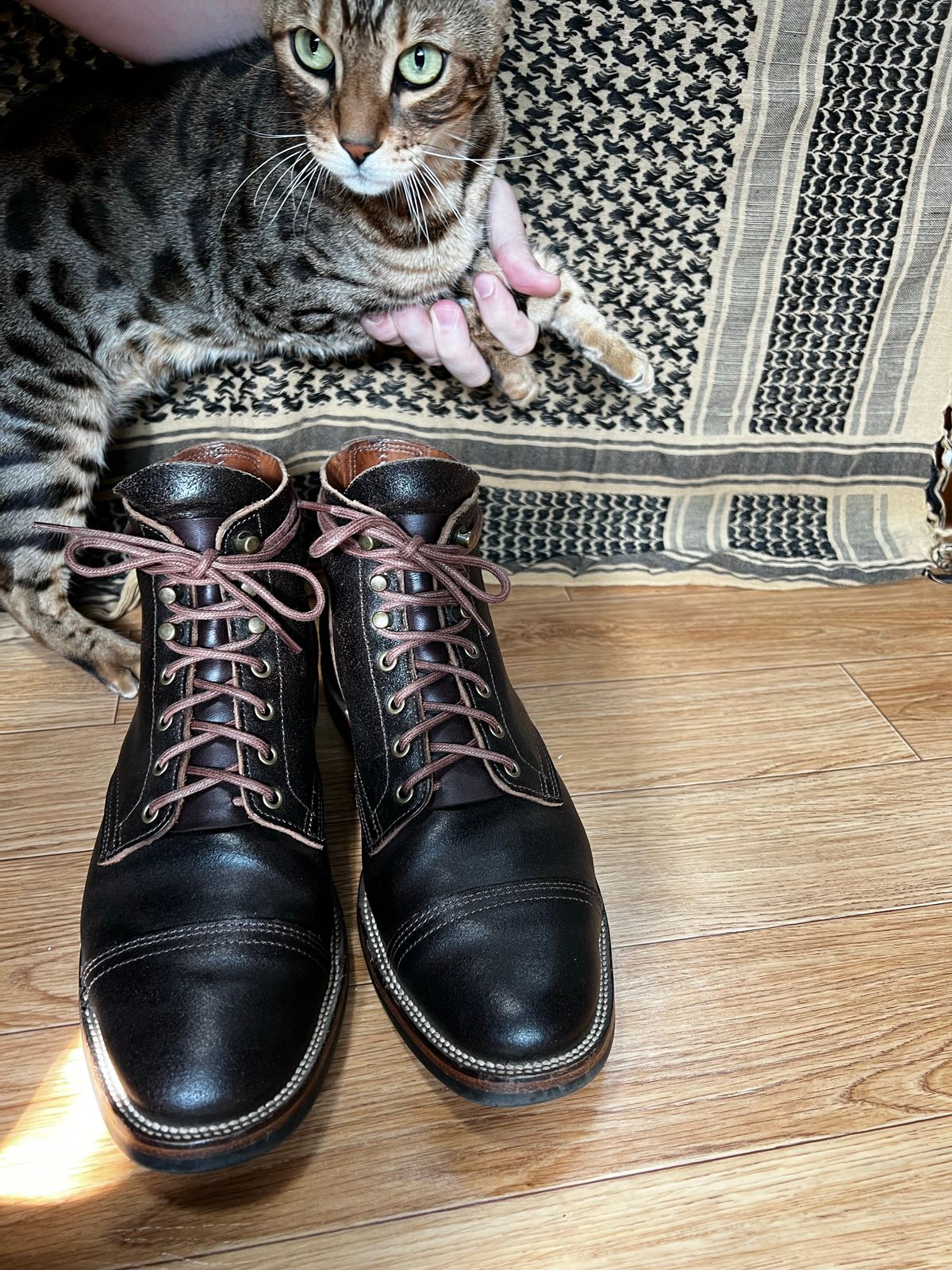 Photo by have.boots.will.travel on November 5, 2022 of the XBXS Derby Boots in Horween Dark Brown Waxed Flesh.