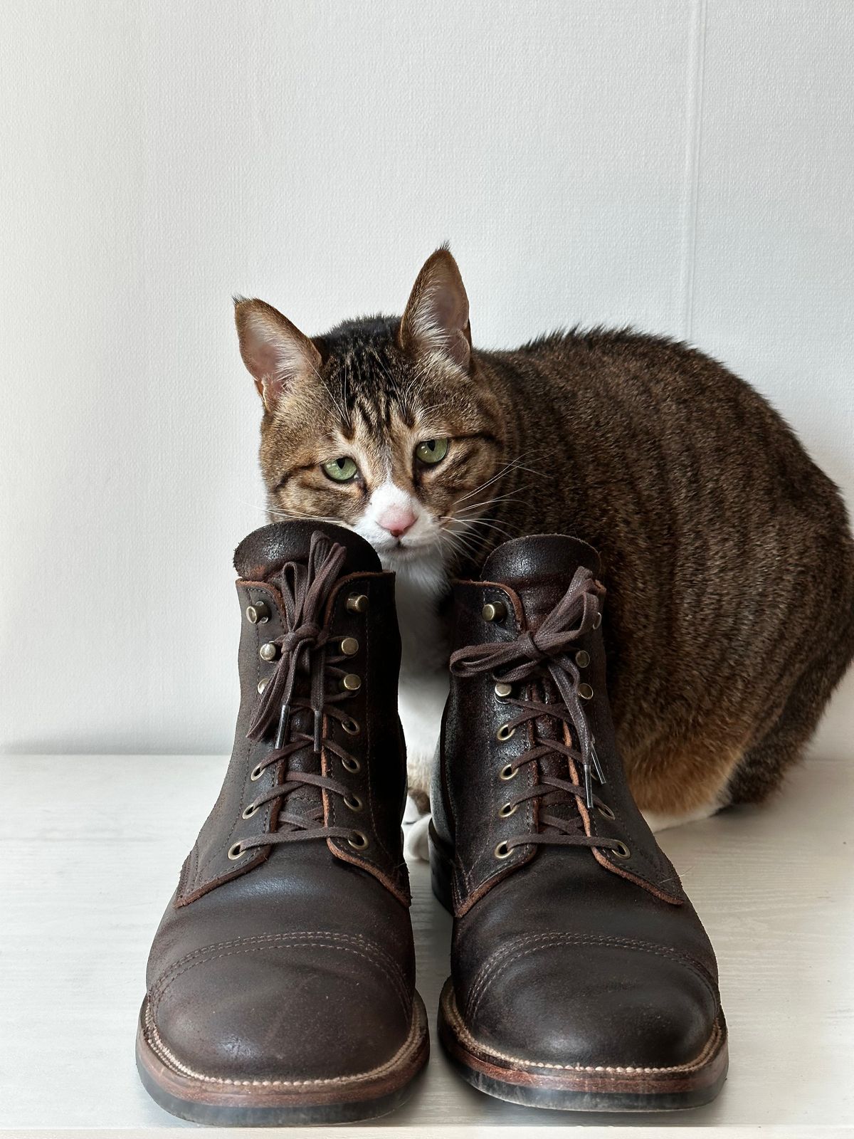 Photo by have.boots.will.travel on March 5, 2023 of the XBXS Derby Boots in Horween Dark Brown Waxed Flesh.