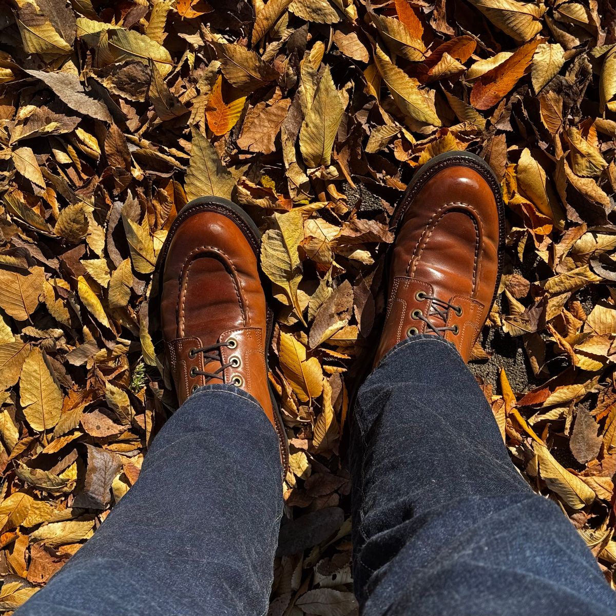 Photo by have.boots.will.travel on November 10, 2025 of the Grant Stone Brass Boot in Horween Honey Glazed Shell Cordovan.