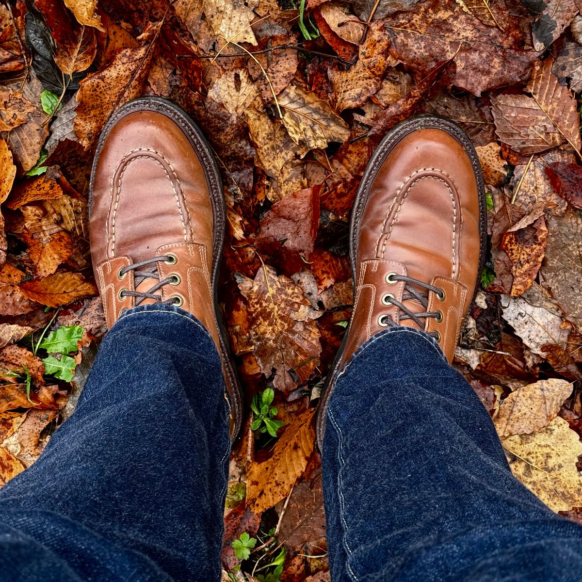 Photo by have.boots.will.travel on December 14, 2025 of the Grant Stone Brass Boot in Horween Honey Glazed Shell Cordovan.