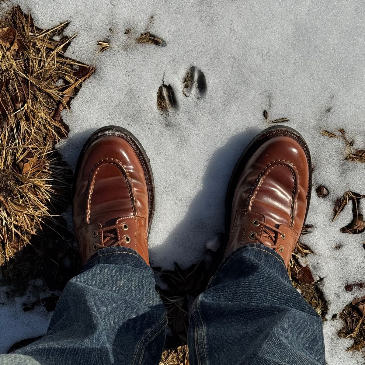 Photo by have.boots.will.travel on February 3, 2026 of the Grant Stone Brass Boot in Horween Honey Glazed Shell Cordovan.