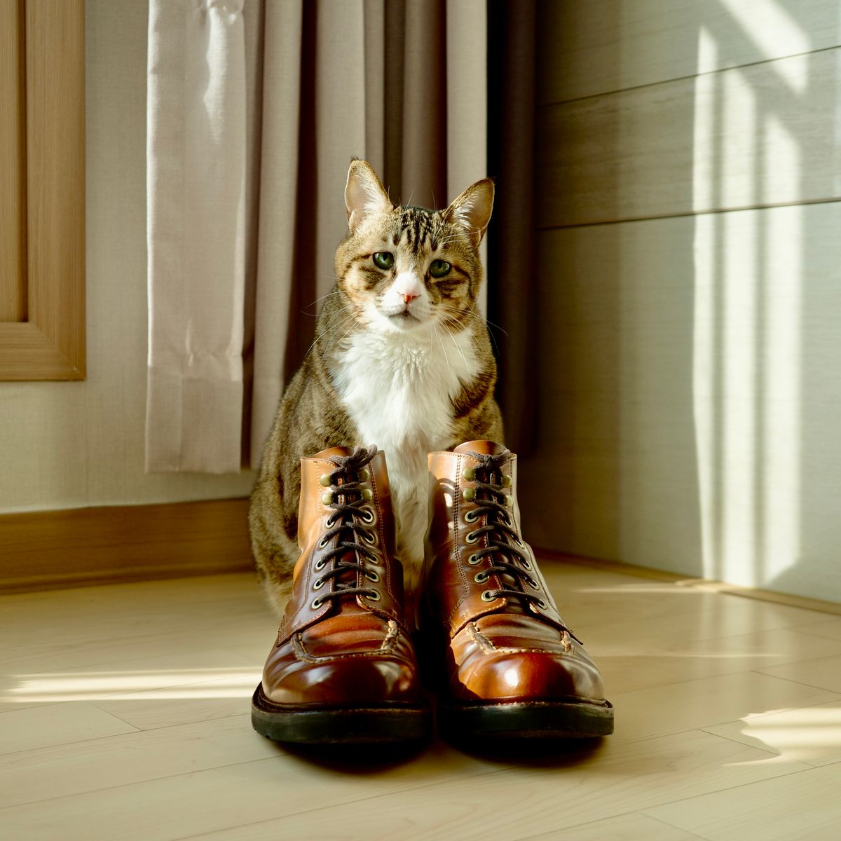 Photo by have.boots.will.travel on March 4, 2026 of the Grant Stone Brass Boot in Horween Honey Glazed Shell Cordovan.