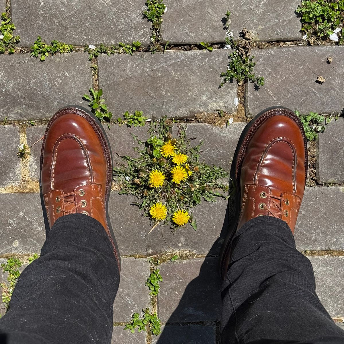 Photo by have.boots.will.travel on April 13, 2026 of the Grant Stone Brass Boot in Horween Honey Glazed Shell Cordovan.