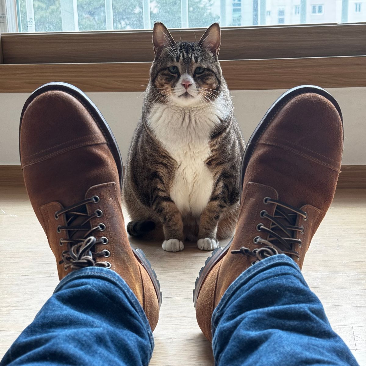 Photo by have.boots.will.travel on November 30, 2024 of the Viberg Service Boot PCT in Horween Golden Brown Predator Roughout.
