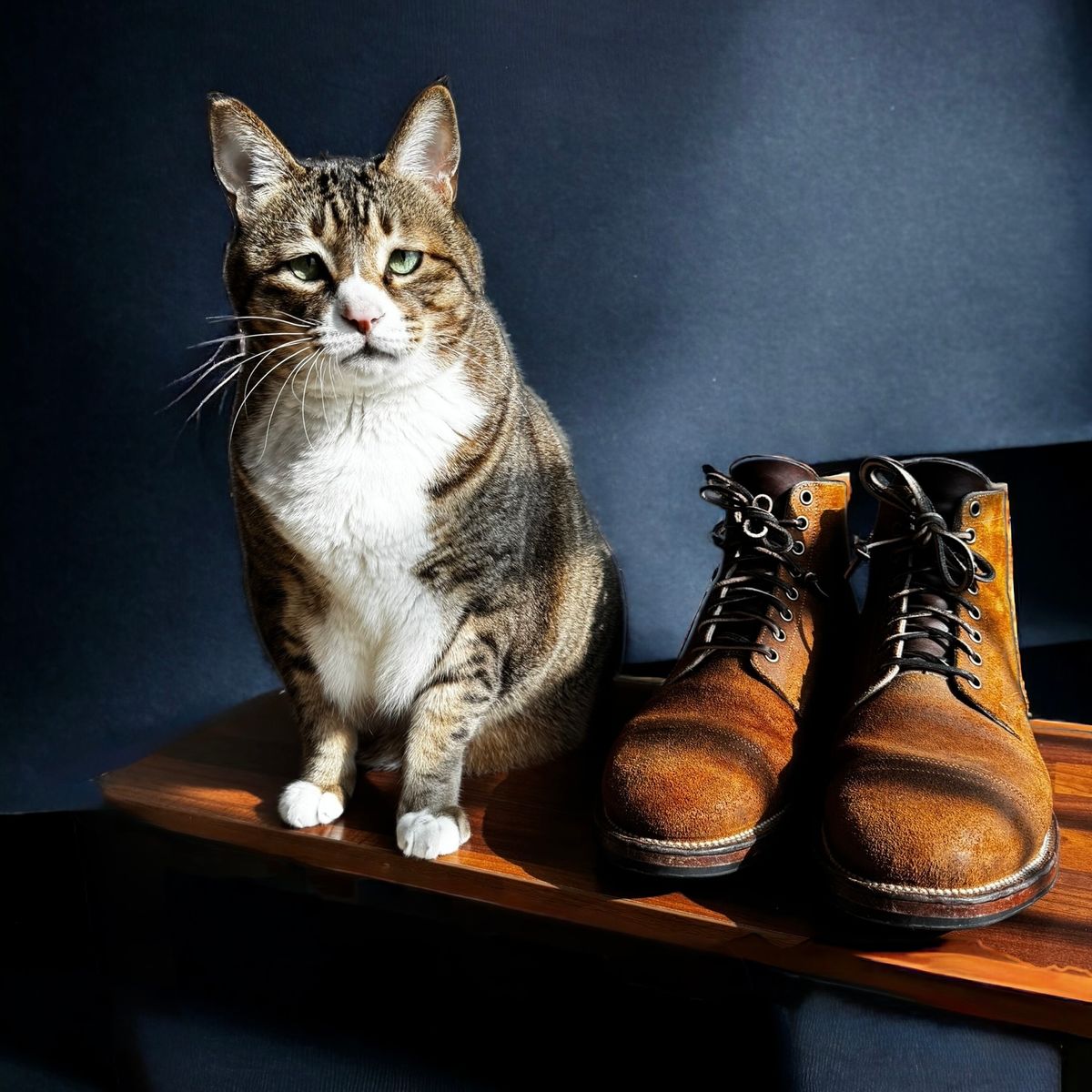 Photo by have.boots.will.travel on December 3, 2024 of the Viberg Service Boot PCT in Horween Golden Brown Predator Roughout.
