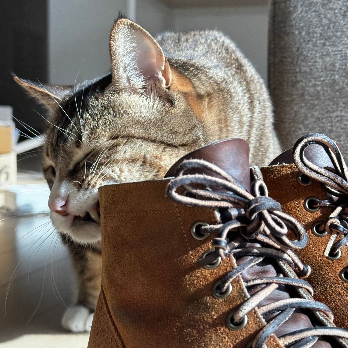 Photo by have.boots.will.travel on December 3, 2024 of the Viberg Service Boot PCT in Horween Golden Brown Predator Roughout.