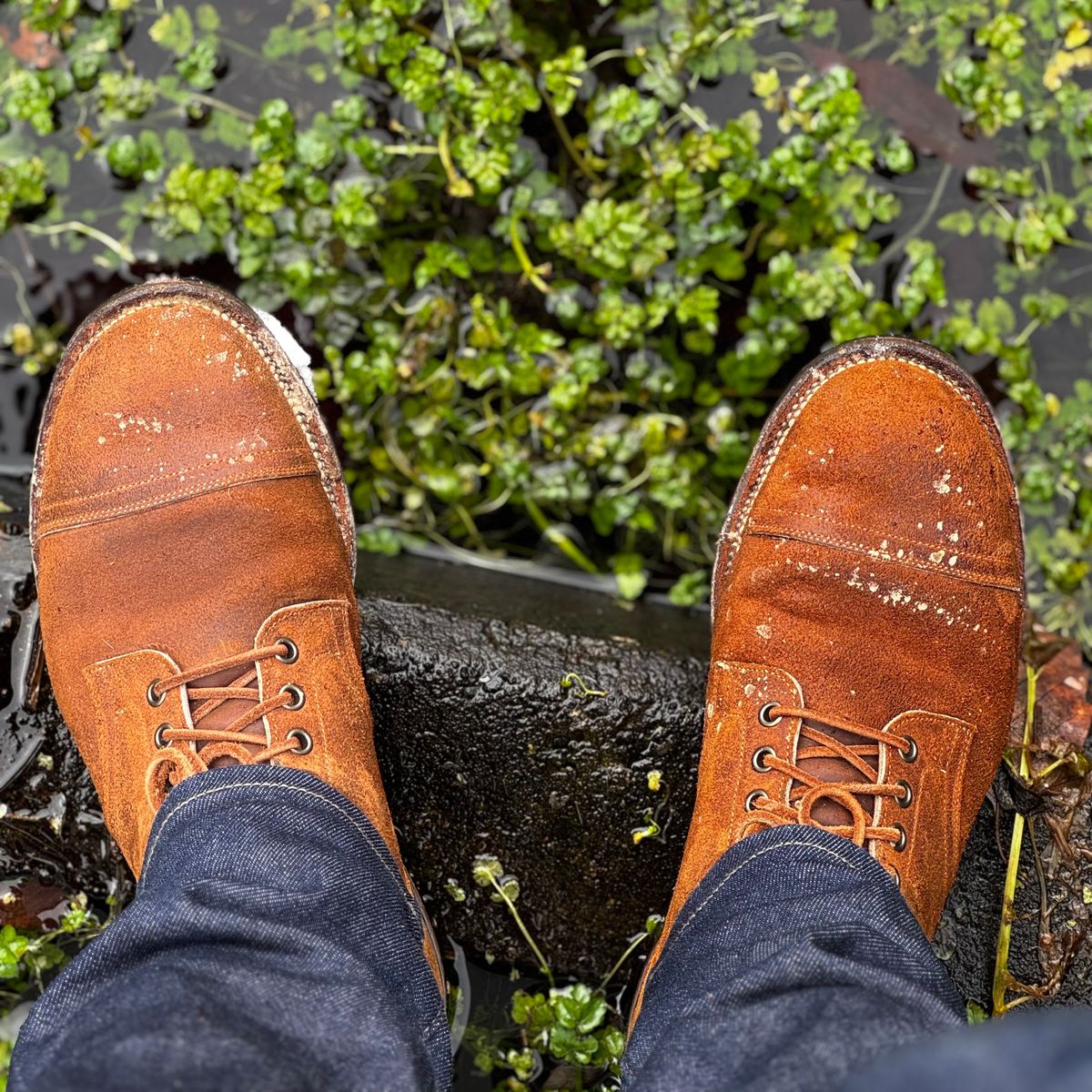 Photo by have.boots.will.travel on January 30, 2025 of the Viberg Service Boot PCT in Horween Golden Brown Predator Roughout.