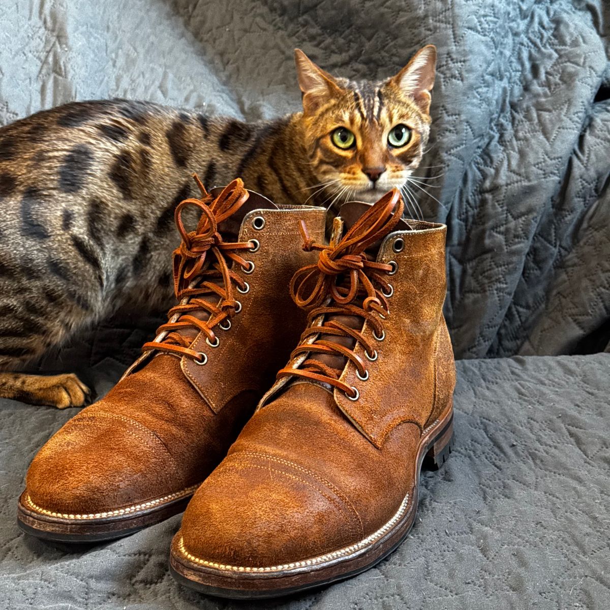 Photo by have.boots.will.travel on February 5, 2025 of the Viberg Service Boot PCT in Horween Golden Brown Predator Roughout.