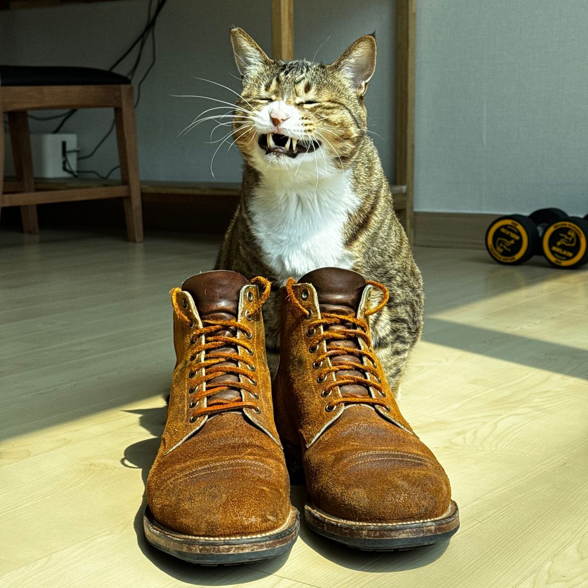 Photo by have.boots.will.travel on April 3, 2025 of the Viberg Service Boot PCT in Horween Golden Brown Predator Roughout.
