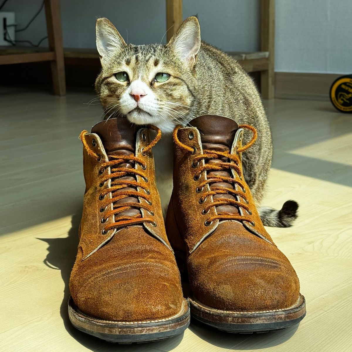 Photo by have.boots.will.travel on April 3, 2025 of the Viberg Service Boot PCT in Horween Golden Brown Predator Roughout.