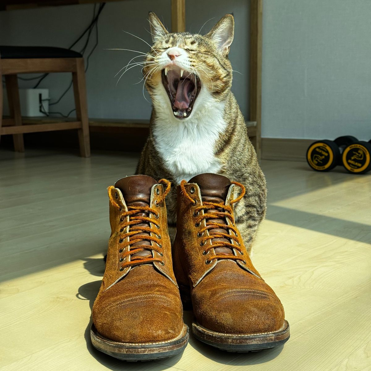 Photo by have.boots.will.travel on April 3, 2025 of the Viberg Service Boot PCT in Horween Golden Brown Predator Roughout.