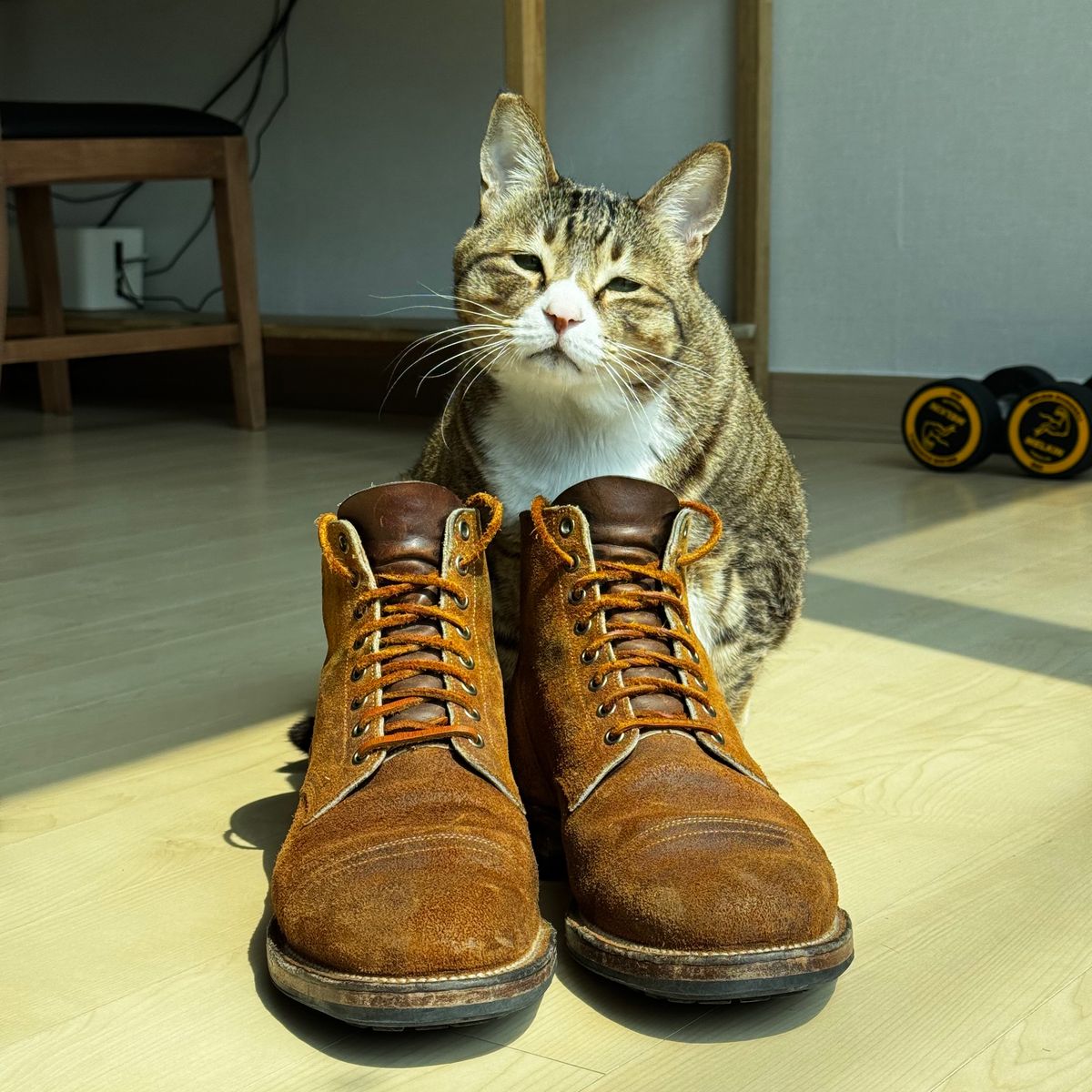 Photo by have.boots.will.travel on April 3, 2025 of the Viberg Service Boot PCT in Horween Golden Brown Predator Roughout.