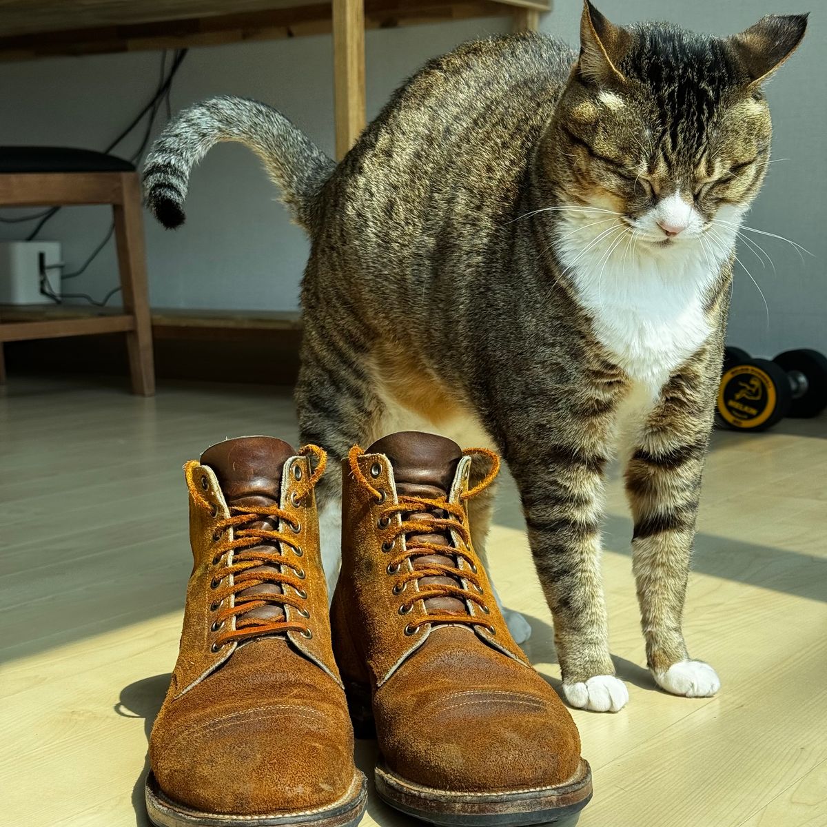 Photo by have.boots.will.travel on April 3, 2025 of the Viberg Service Boot PCT in Horween Golden Brown Predator Roughout.