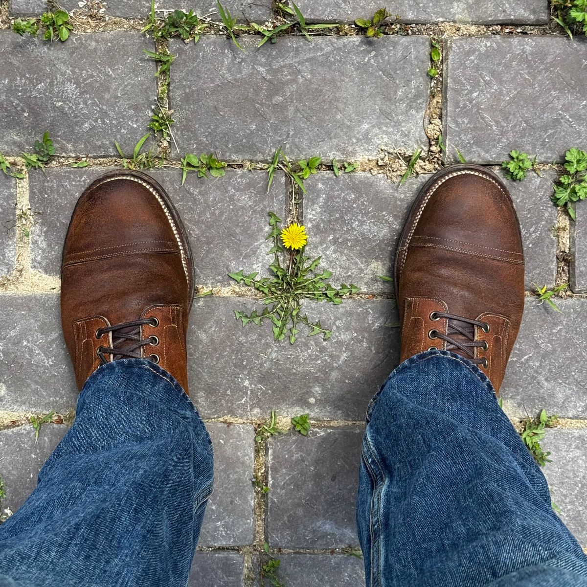 Photo by have.boots.will.travel on May 8, 2026 of the Viberg Service Boot PCT in Horween Golden Brown Predator Roughout.