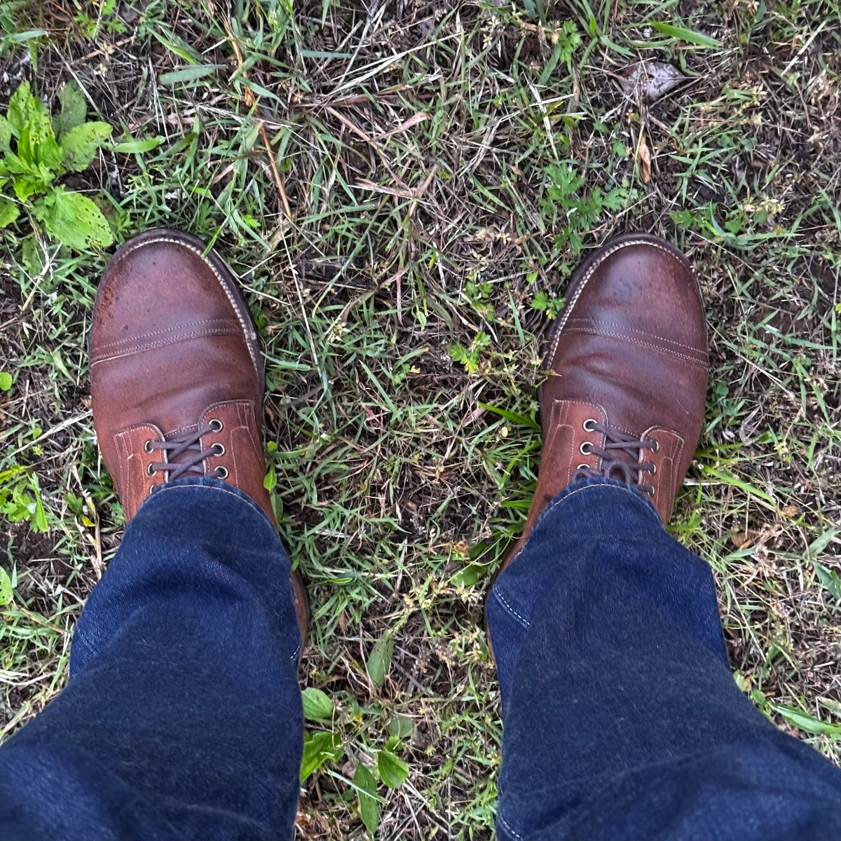 Photo by have.boots.will.travel on May 28, 2026 of the Viberg Service Boot PCT in Horween Golden Brown Predator Roughout.