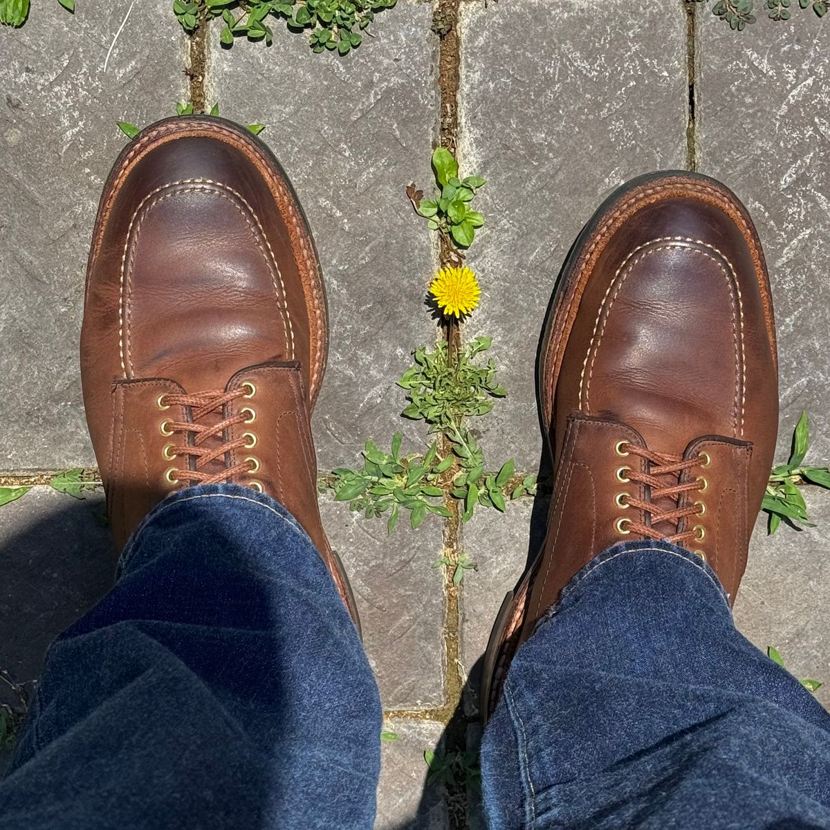 Photo by have.boots.will.travel on June 15, 2026 of the Alden Indy Boot in Horween Tobacco Smooth Chamois.