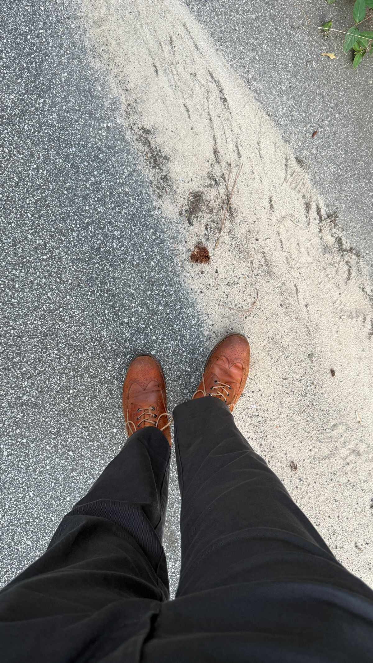 Photo by BigBadWolf on June 16, 2025 of the Mark Albert Countrty Boot in C.F. Stead Caramel Classic Kudu.