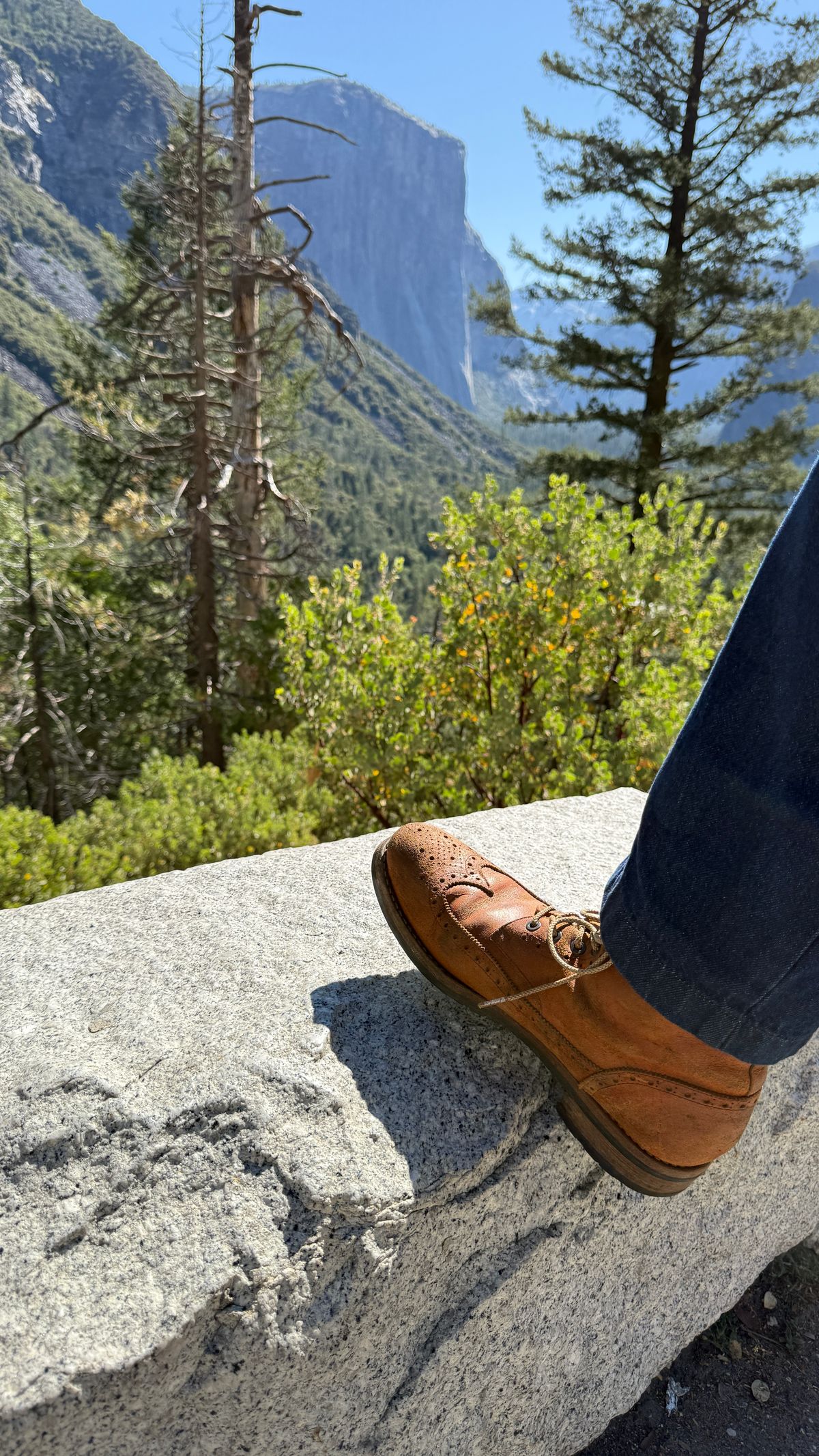 Photo by BigBadWolf on July 5, 2025 of the Mark Albert Countrty Boot in C.F. Stead Caramel Classic Kudu.